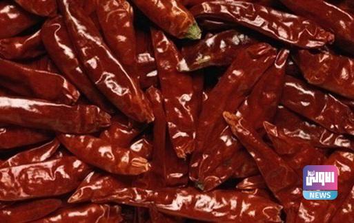 هكذا يخدع الطعام الحار خلايا الدماغ 1 upload 1657479388 3505113