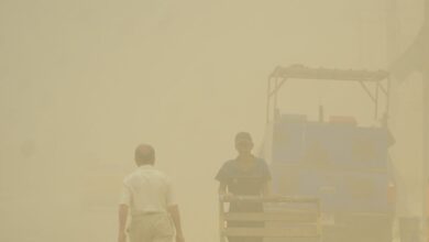 upload 1657523591 455254550.jpeg