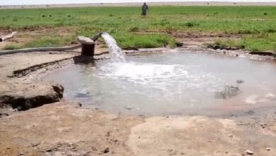 upload 1657835952 82212425.jpeg