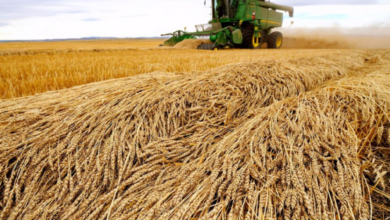 upload 1658207061 671170670