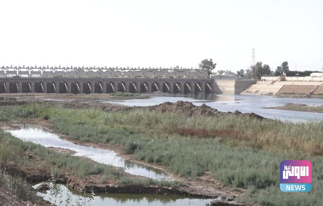 موارد الأنبار تعلن تحويل جزء من مياه الحبانية إلى بغداد والمحافظات الجنوبية 1 upload 1658226757 303015444