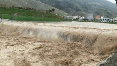 upload 1658556235 600751765