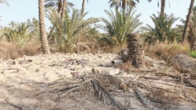 upload 1659005302 966679070