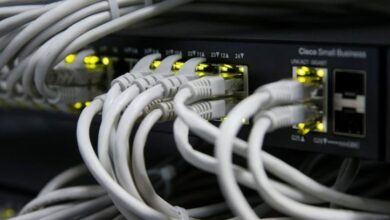 upload 1659019628 780877955.jpeg