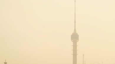 upload 1659169820 1207240627.jpeg