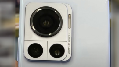أول عينة لصورة بكاميرة Moto Edge 30 Ultra بدقة 200 750x430 1