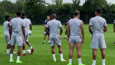 استبعاد لاكازيت من معسكر ليون بسبب الدبابير