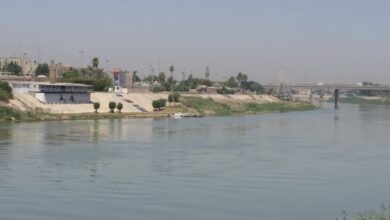 02BB2E00 9899 4B14 9764 10AB2755FF90