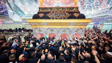 044DD9F2 E61B 4DF4 97F4 564A60870DA9