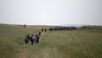 07807CDF 6D6E 44AA 8846 B6BF85F9D790