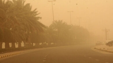 07A6E92A DF90 4994 AC04 103153946910