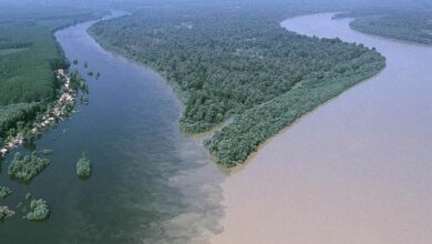 10BCD0BF 6FE4 4F5A A83A F13821CD8237