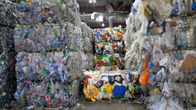 1563790859 543 272425 recyclemess1 770x435 1