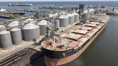 17550243 9249 41EA BCF4 449FD4029F8C