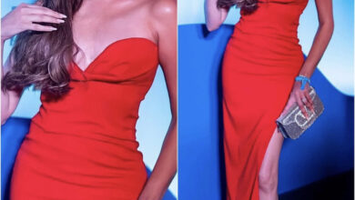 1AAEAB96 94EC 4458 8ACD C1622D230C19