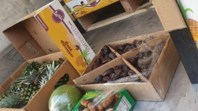 1E1E2C4B 01AD 4464 92F9 D56176F6B78A