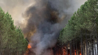 1F7CEE6A 41E5 4F24 97E3 9B494F0D2D35