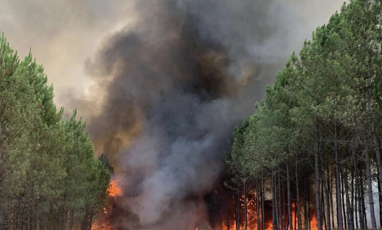 1F7CEE6A 41E5 4F24 97E3 9B494F0D2D35