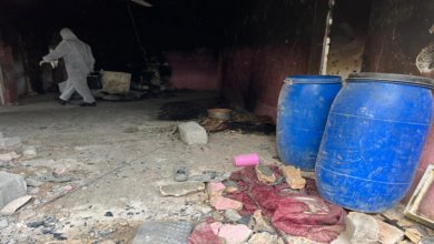 212022733270080154 472052064351555 4914323084827246520 n