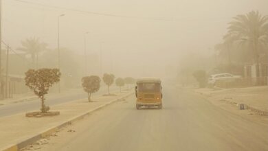 2BA078D7 5D42 420C A59F 926B0A40C0F4