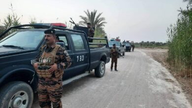 31550471 9BB0 439F A5AE 4315E17FC506