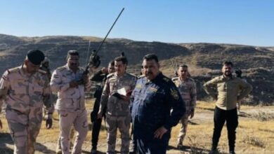 363110EF 7F4C 47CC 8DA7 75392A35A6F2