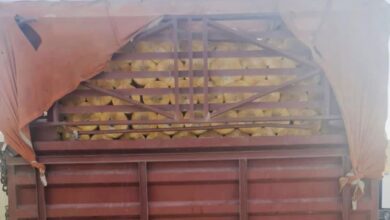 3A8BA1E7 7C55 473A AA59 B333403E331E