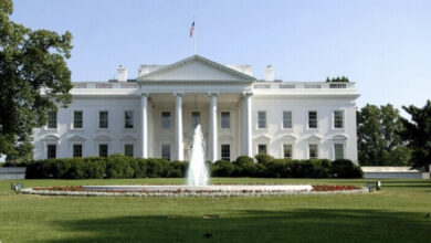 3E213E75 615C 42D2 AF4D 9895D0B03A91