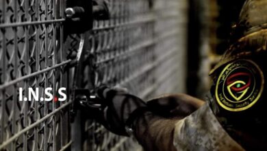 3EADDB39 BE9E 4E54 A2B9 F9D66C404F41