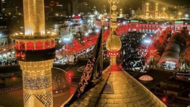 3EE1C799 6276 4A2A 8937 9A90E781FE93