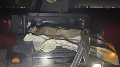 40C2F822 AA92 49E8 B393 E6EDC5C66484