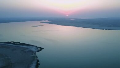 4D485CBD 882B 422D 8C45 F2C79144E108