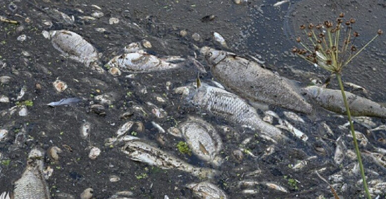 51B8BDE7 9C43 434A B394 3DE12B7F60C9