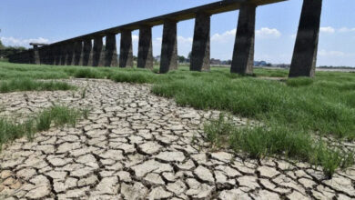 57514DF4 FF78 4468 82D7 A61CB4165E6A