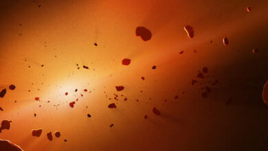 62ea3c1f4236042a2d0360a2