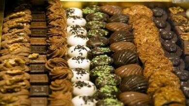 62f35bc3423604587219acc1