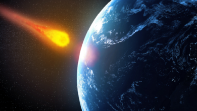 62f615804236045ead17a8d8