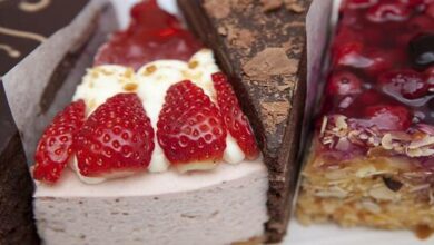 62fb2b194236044b497c9764