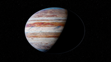 6304a16242360434222a9011