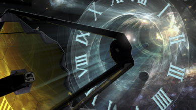 630cabde42360464031d4394