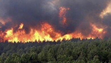 إستمرار تصاعد حرائق الغابات في فرنسا 5 63AA8F62 C12C 4B23 9C4E 4B71B2AC0403