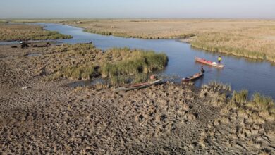 7B9BA341 FF7B 42A9 A96F BABED17010B1