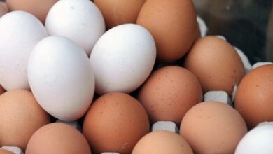 7DF31875 9C07 44D4 BB9D 606424DC3B66