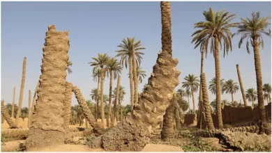 808x454 cmsv2 875c0bb6 563a 5d6c 9147 1a4c62919541 6856270