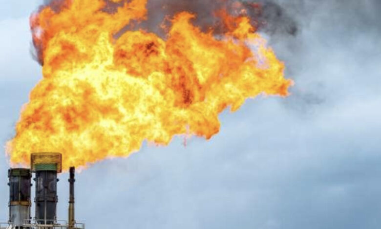 80BD55E4 FB11 452B B960 9F2FA89AF2ED