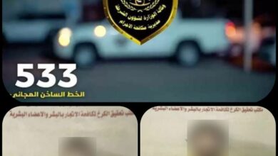 86778736 D93C 4206 A5A4 FD455F79BF81