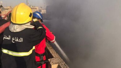 8D5947FE 8347 40FE AC13 7F5032970607