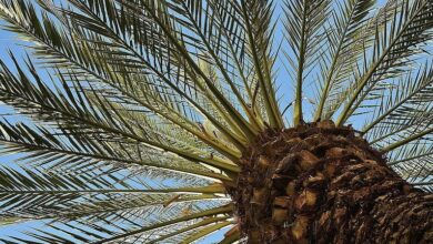 90F7B8F1 C5BC 405B 82A3 96FC9BA3BB13