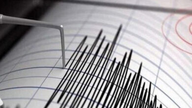 9B44D258 FF58 4075 AA7B F2F9541C881C