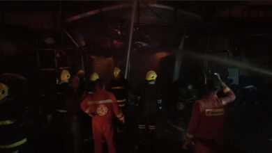 A0B1CC11 6D38 41F6 BF0D 0981239D70CF